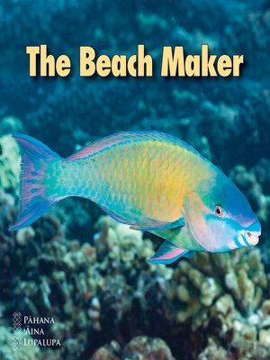 cover image of The Beach Maker